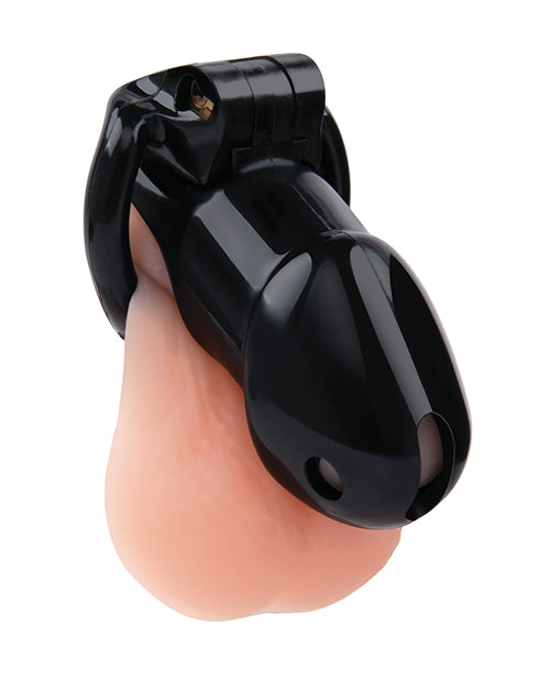 Lockmaster 4" Resin Cock Cage; Black