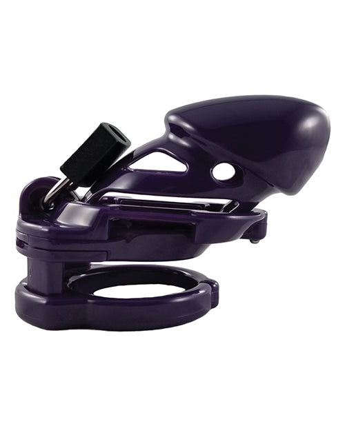 Locked In Lust The Vice Standard;