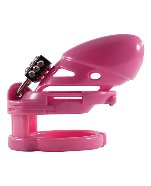 Locked In Lust The Vice Plus;
