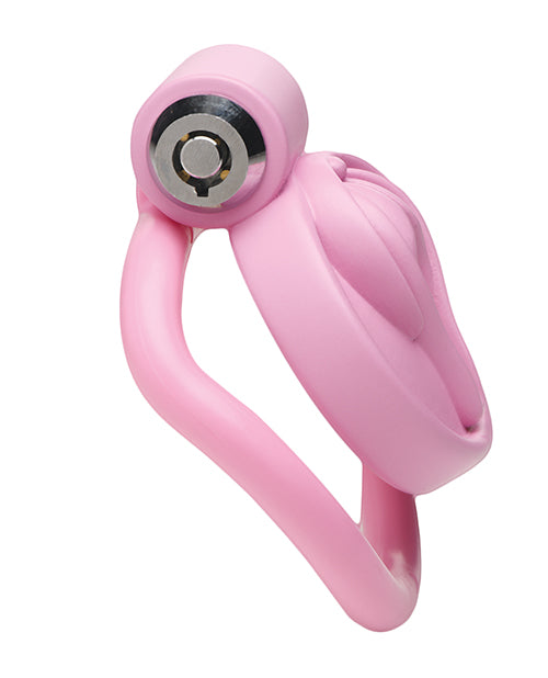 Master Series Pussification Vulva Locking Chastity Cage; Pink